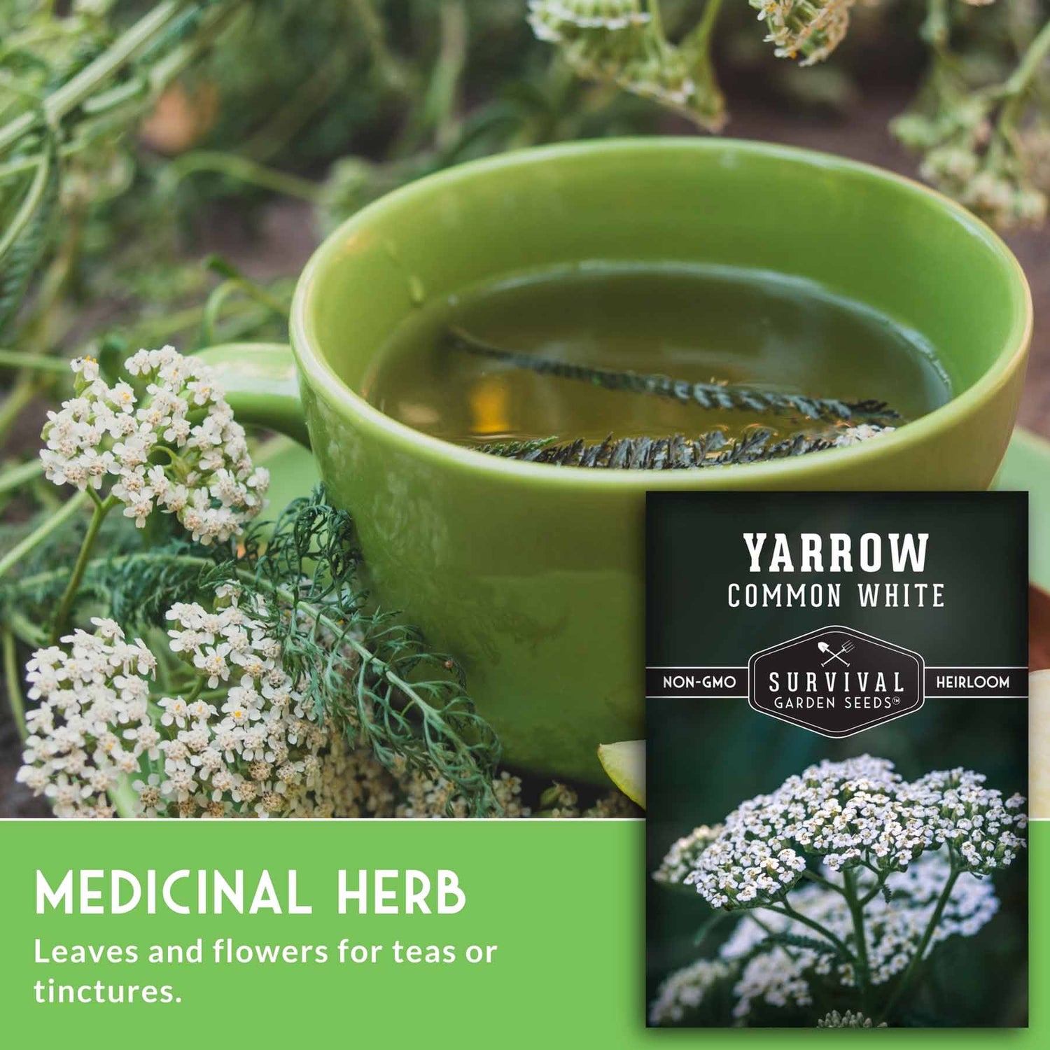 Green cup of yarrow tea with yarrow flowers and a Yarrow seed packet.