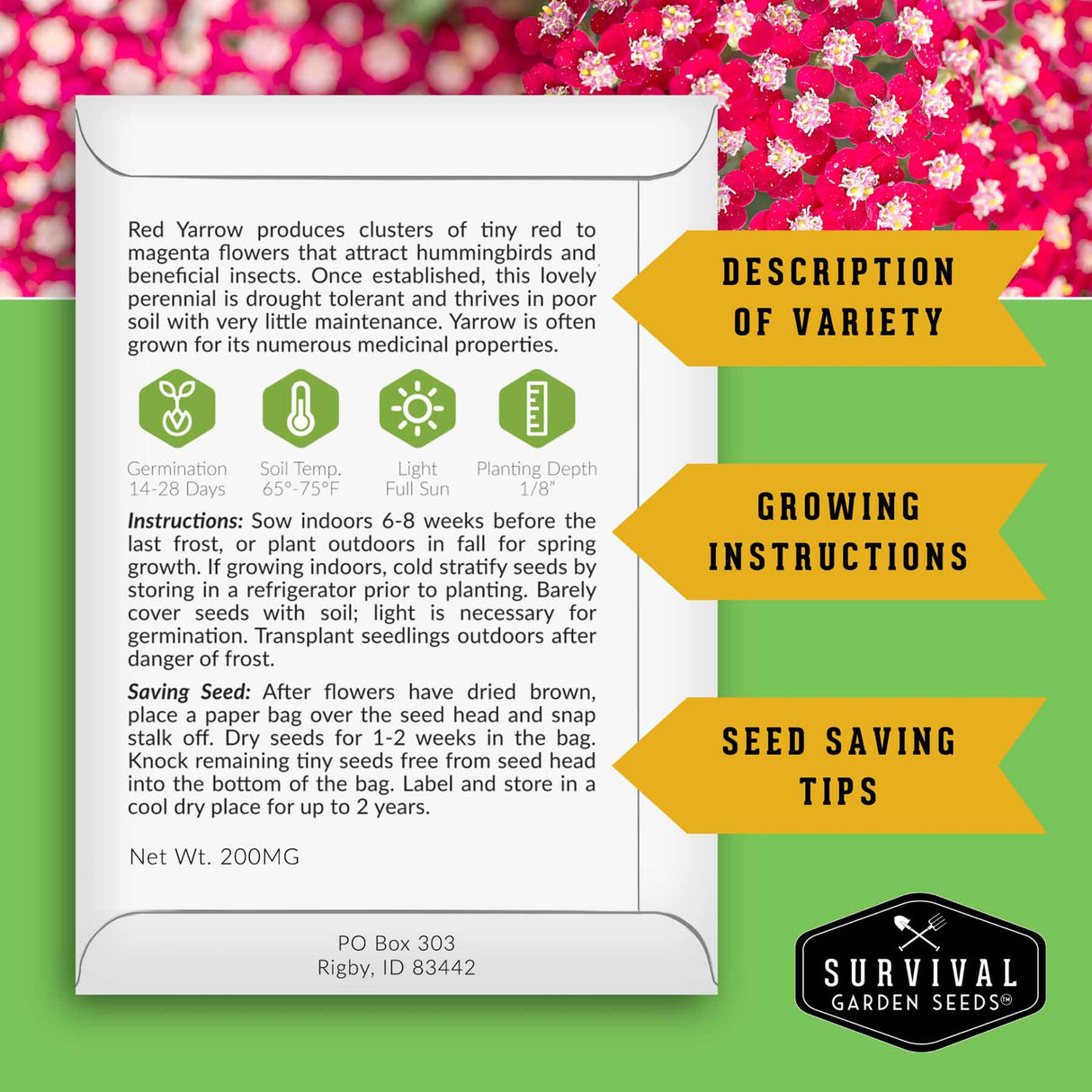 Survival Garden Seeds packaging with text on a green and pink floral background