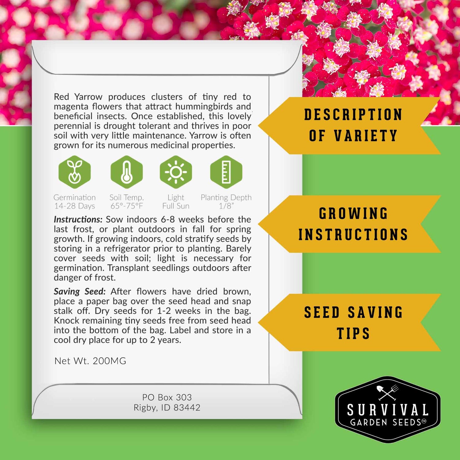 Survival Garden Seeds packaging with text on a green and pink floral background