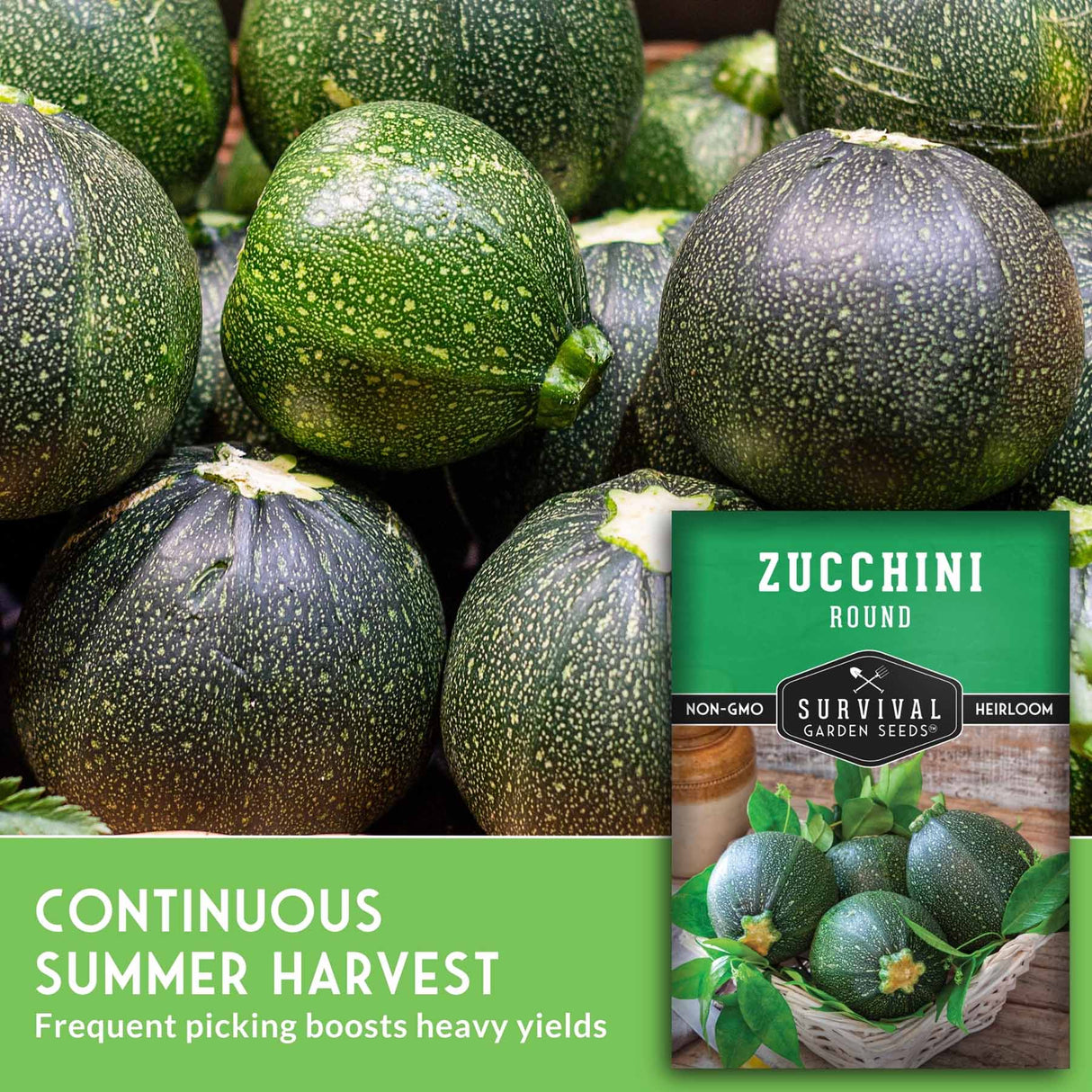 Zucchini with a seed packet labeled 'Survival Garden Seeds' on a green background