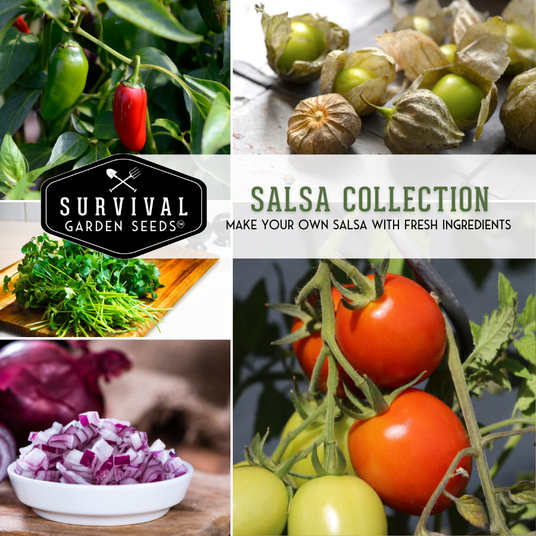 Salsa collection - make your own salsa with fresh ingredients