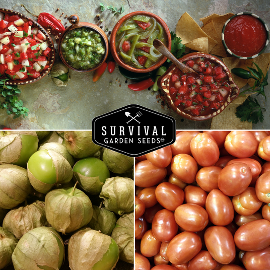 Tomatillos, tomatoes and salsa