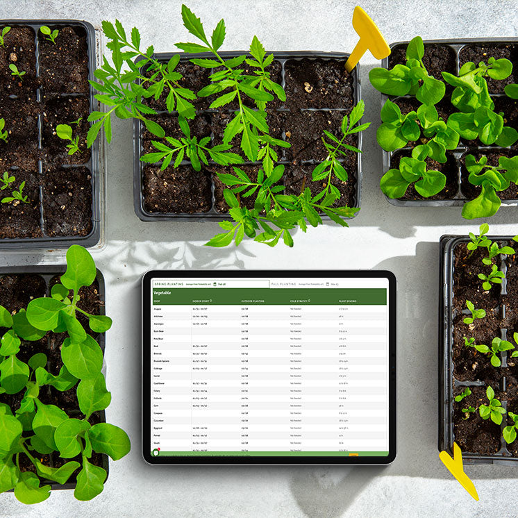 Seed Planting Calendar by Zip Code online tool