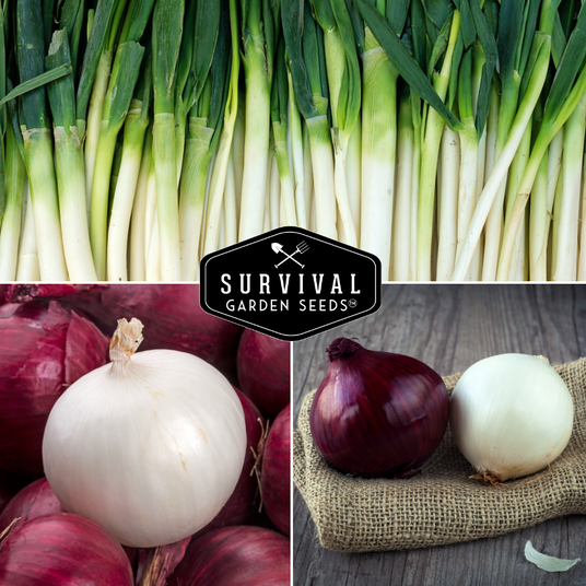 Bunching onions, red onions, white onions