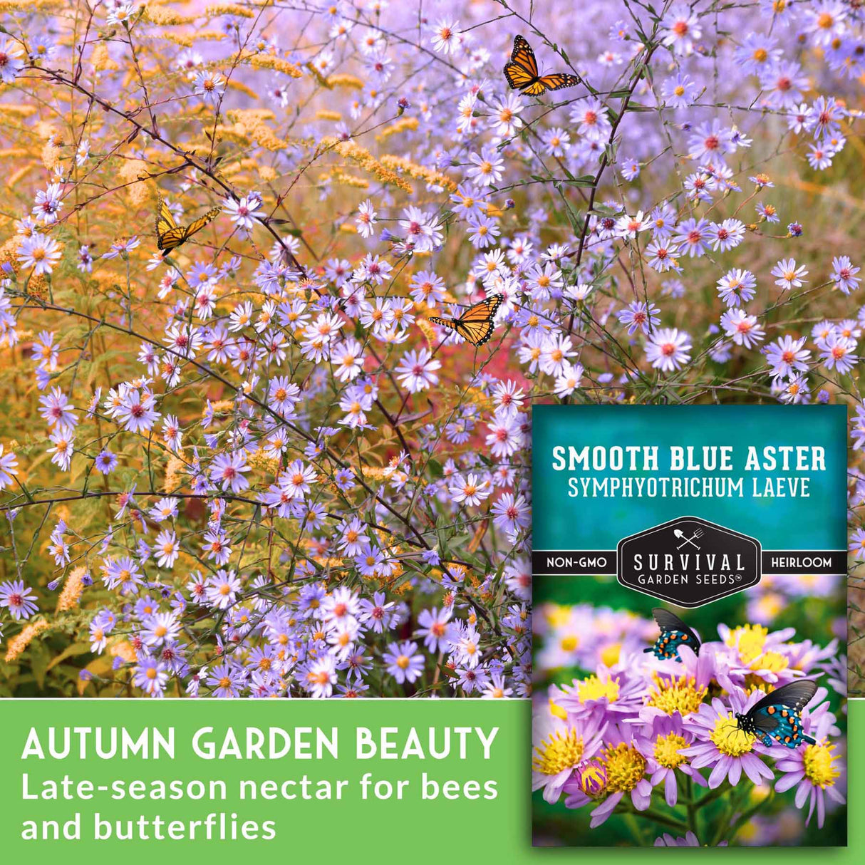 Autumn Garden Beauty