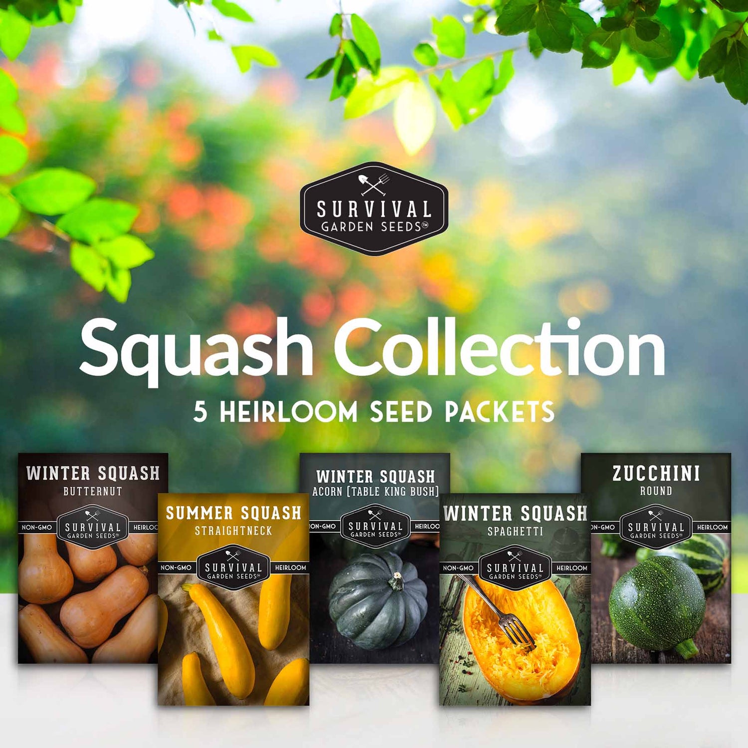 5 heirloom squash seed packets