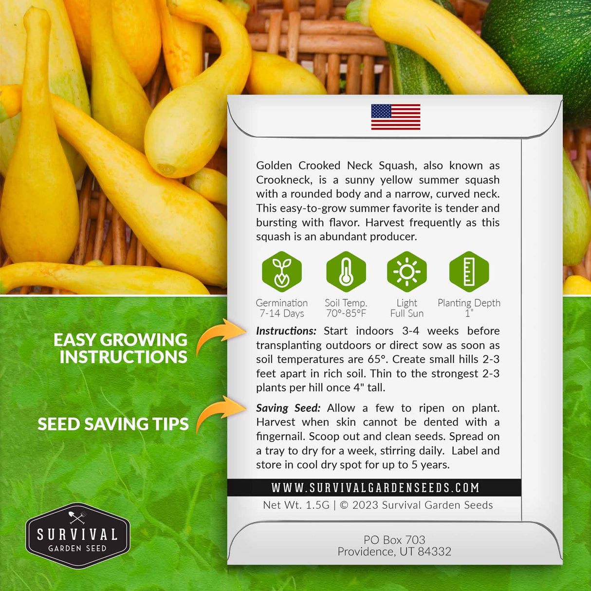 Crookneck squash seed growing instructions