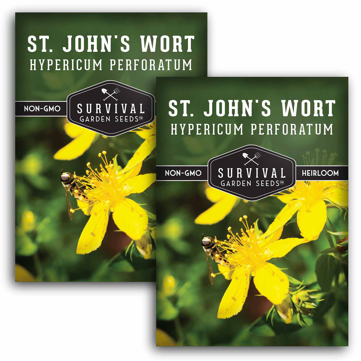2 packets of St. John's Wort seeds