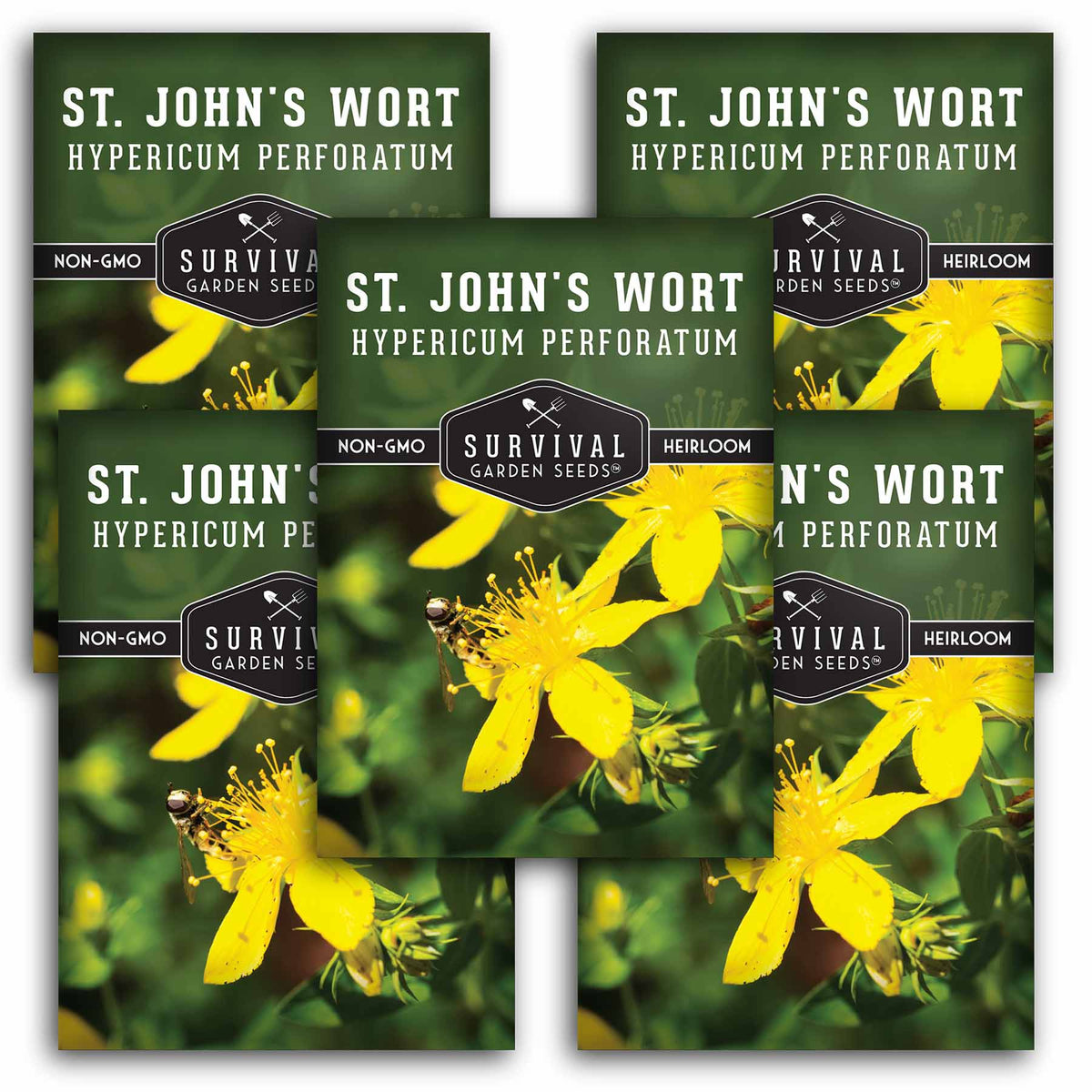 5 packets of St. John&#39;s Wort seeds