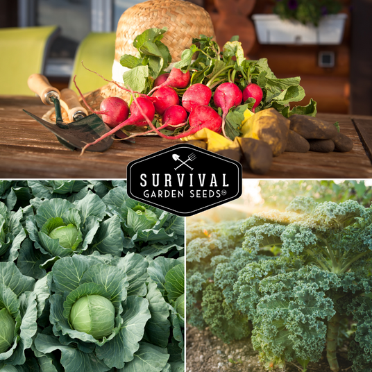radishes, cabbage and kale