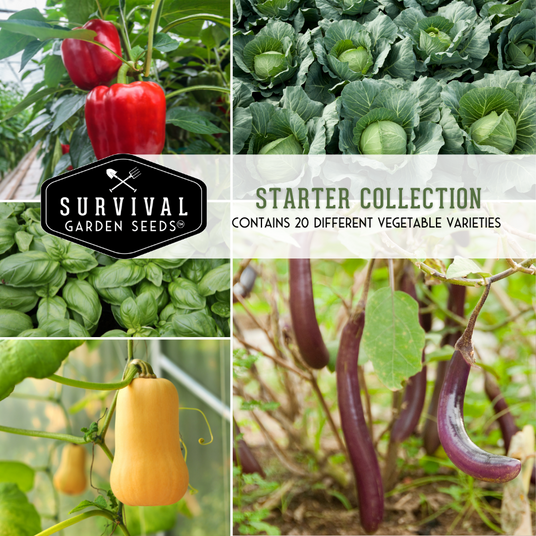 Starter collection - contains 20 different vegetable varieties