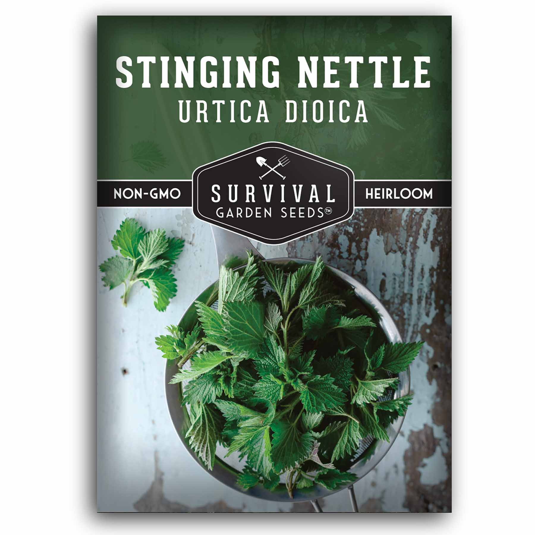 1 packet of Stinging Nettle seeds