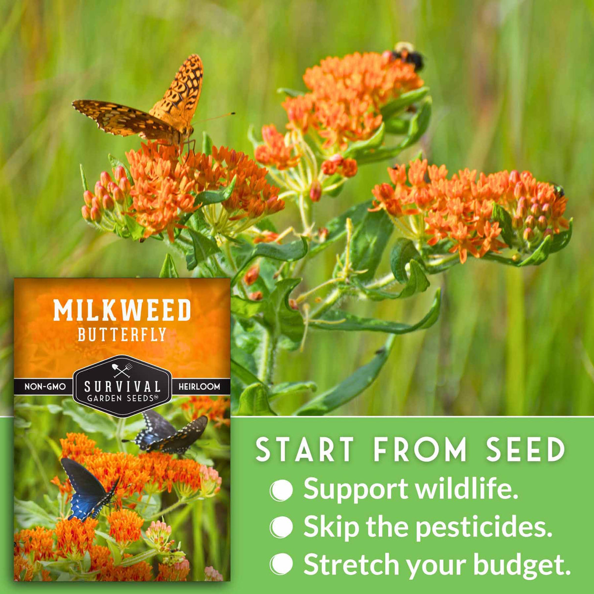 Milkweed butterfly plant with a butterfly on orange flowers, and a seed packet labeled 'Survival Garden Seeds' in the background.