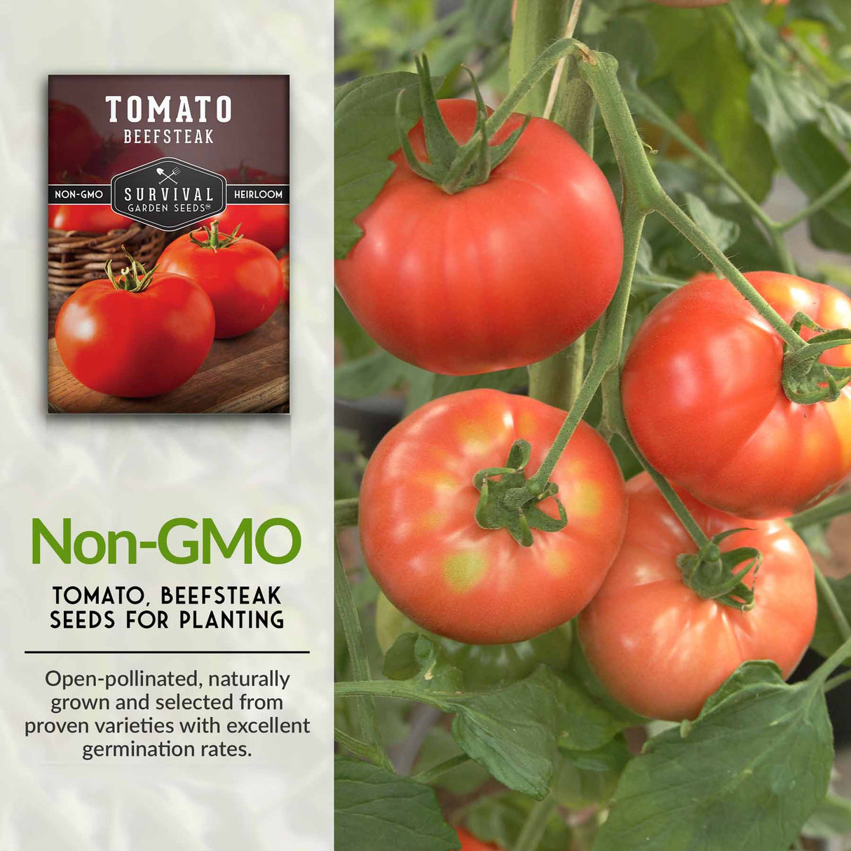Non-GMO seeds