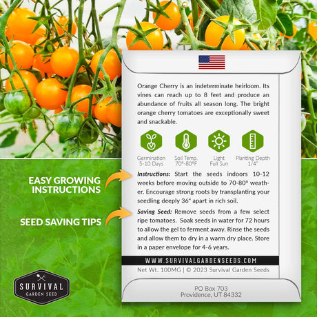Orange Cherry Tomato growing instructions