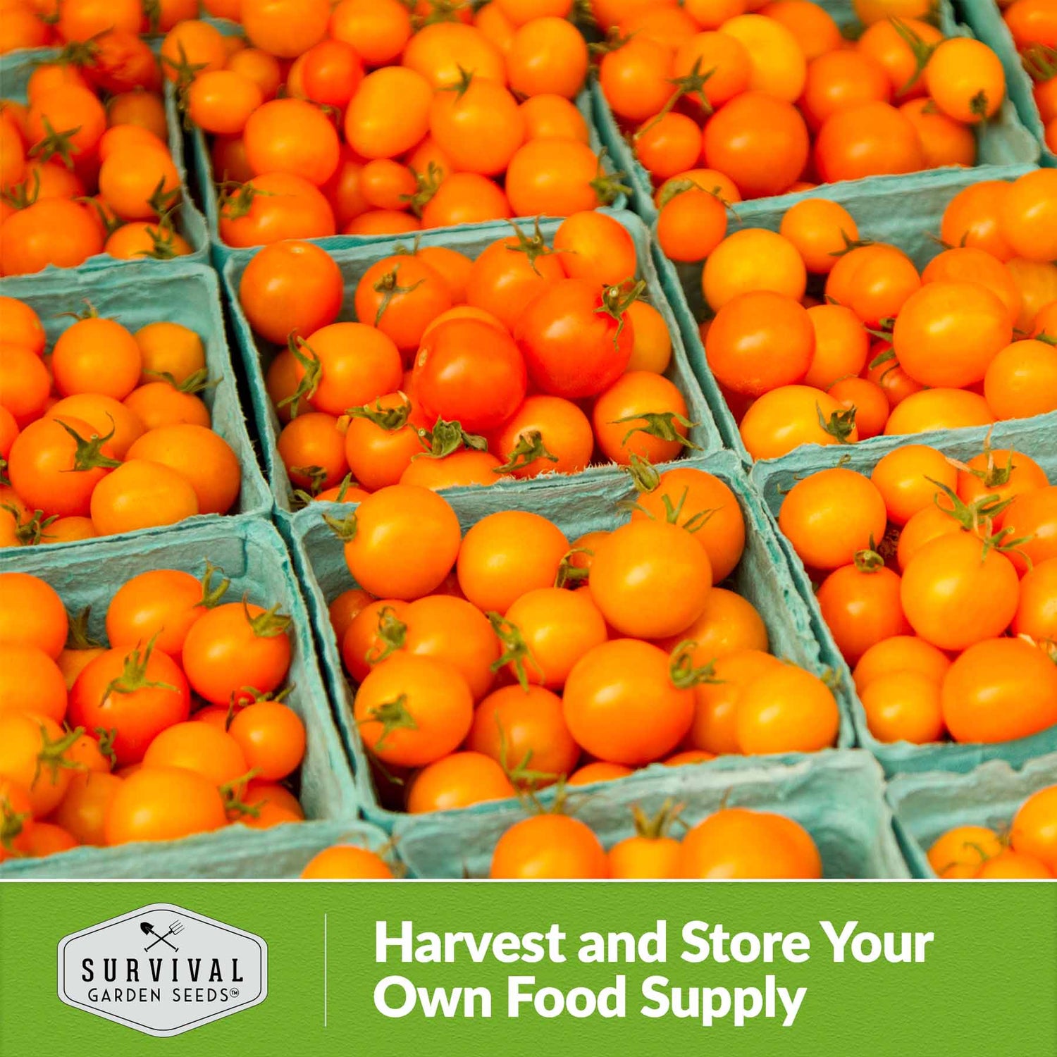 Harvest and store your own food supply