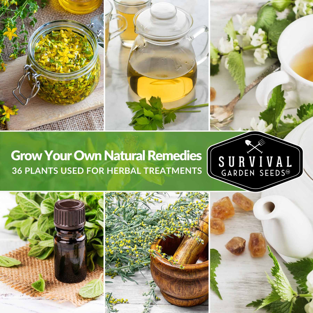 Grow your own natural remedies