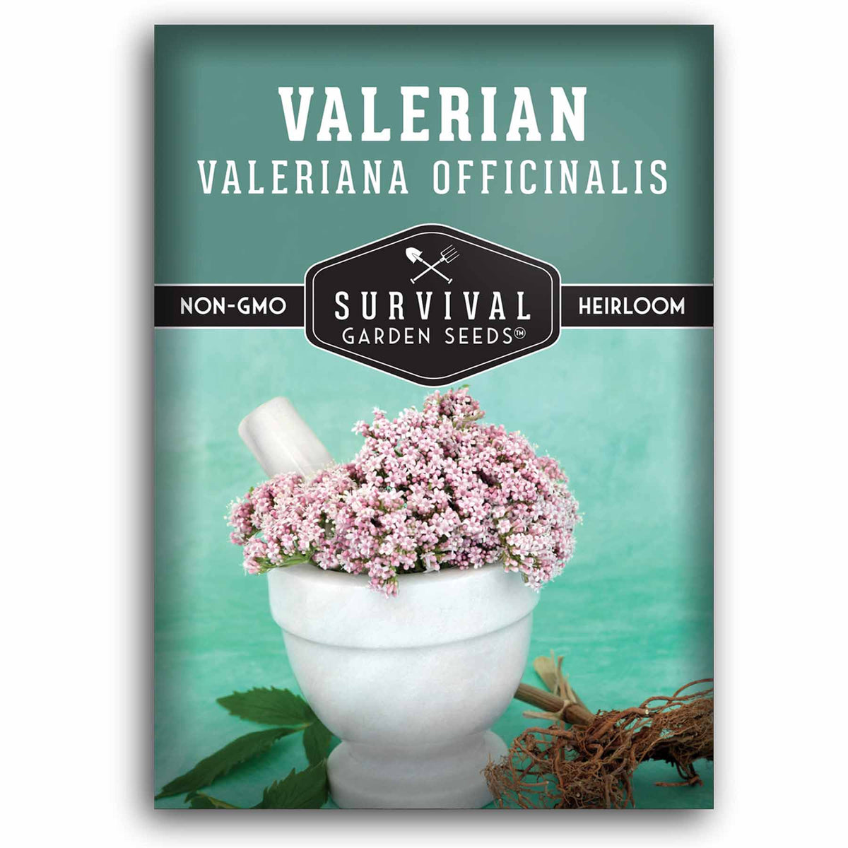 Valerian Seeds – Perennial Herbal Plant