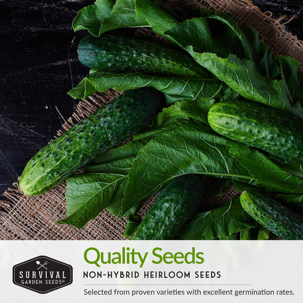 10 tasty heirloom seed varieties to include in your garden this