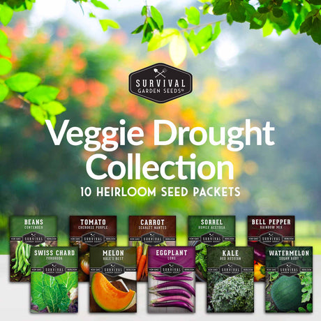 Drought tolerant vegetable seed collection 10 heirloom seed packets