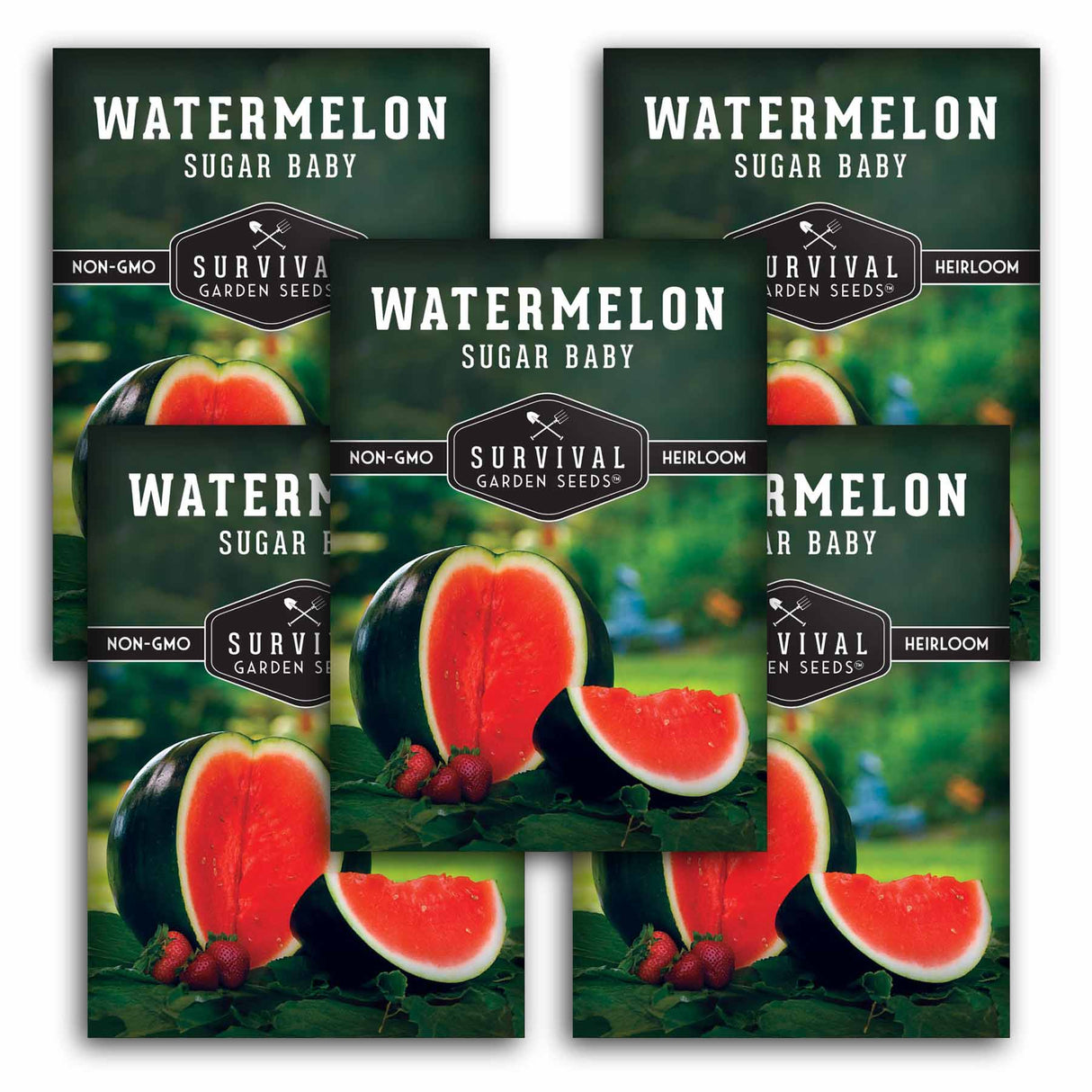 5 Packets of Sugar Baby Watermelon Seeds