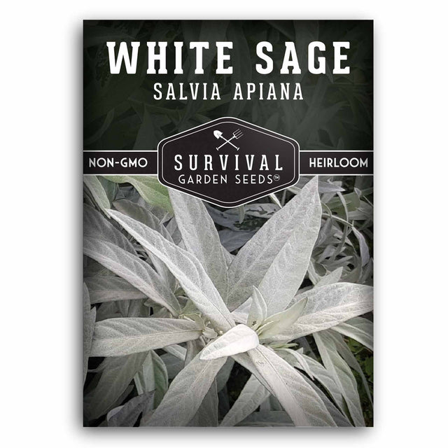 1 packet of White Sage Seeds