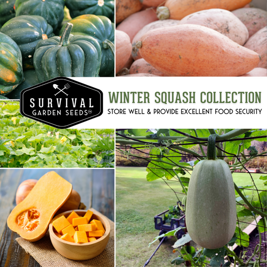 Winter Squash Collection - store well and provide excellent food security