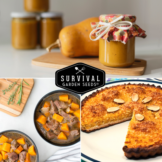 Cooked winter squash