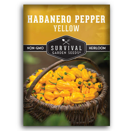 1 Packet of Yellow Habanero Pepper Seeds