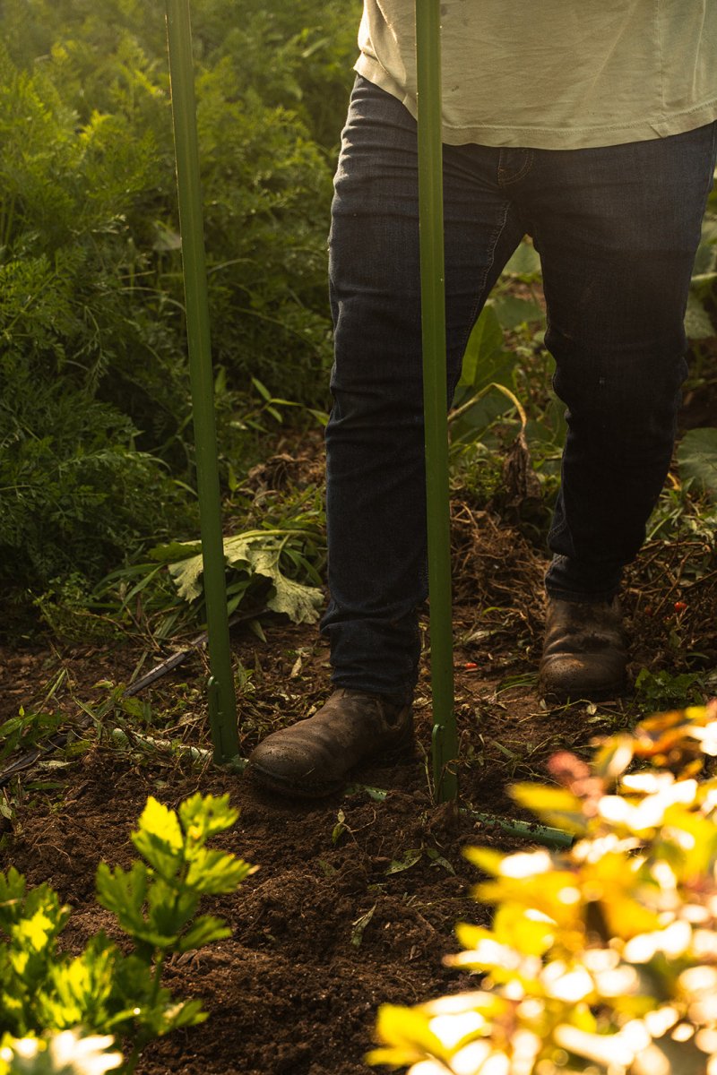 Man using broadfork on the garden