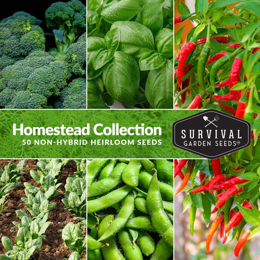 Homesteader collection - 50 non-hybrid heirloom seeds