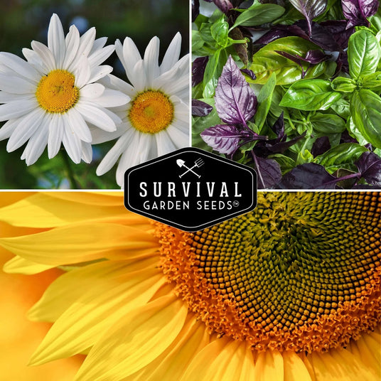 Homesteader flowers and herbs