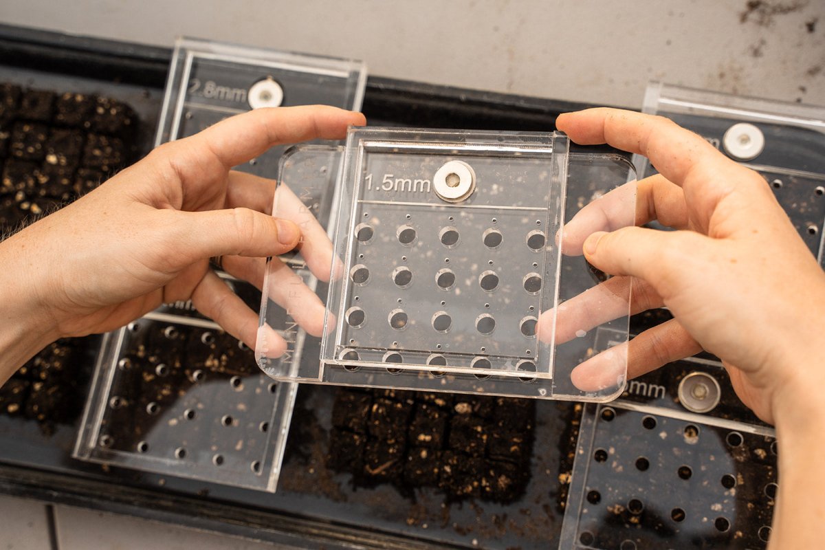 1.5mm drop seeder from Mindful Farmer