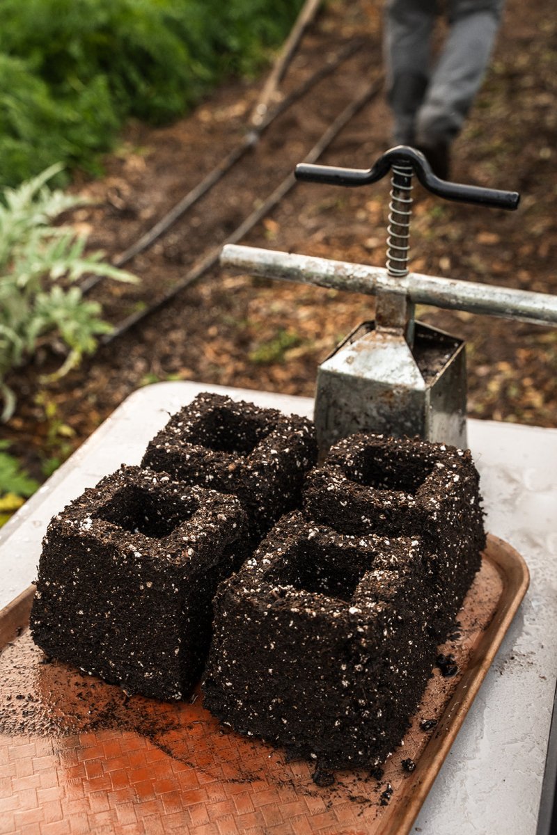 Large soil blocks
