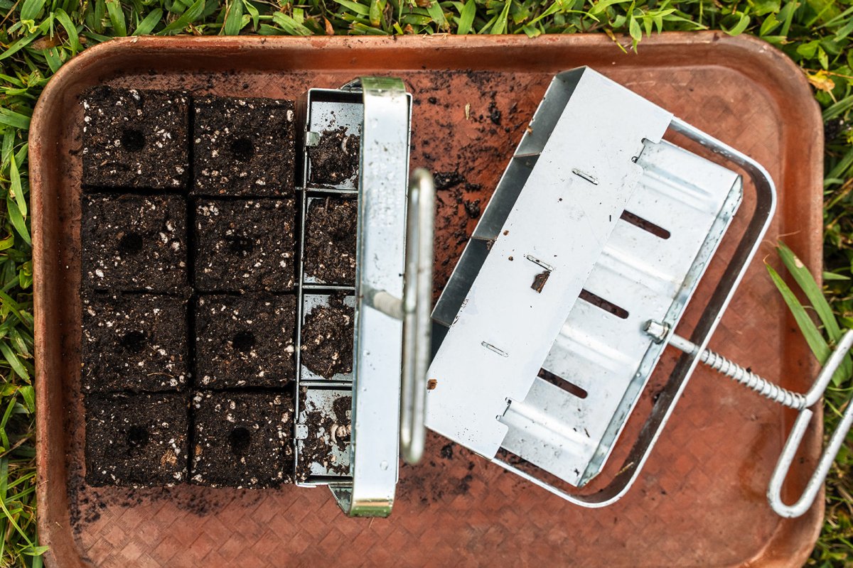 soil blockers and soil blocks on a tray
