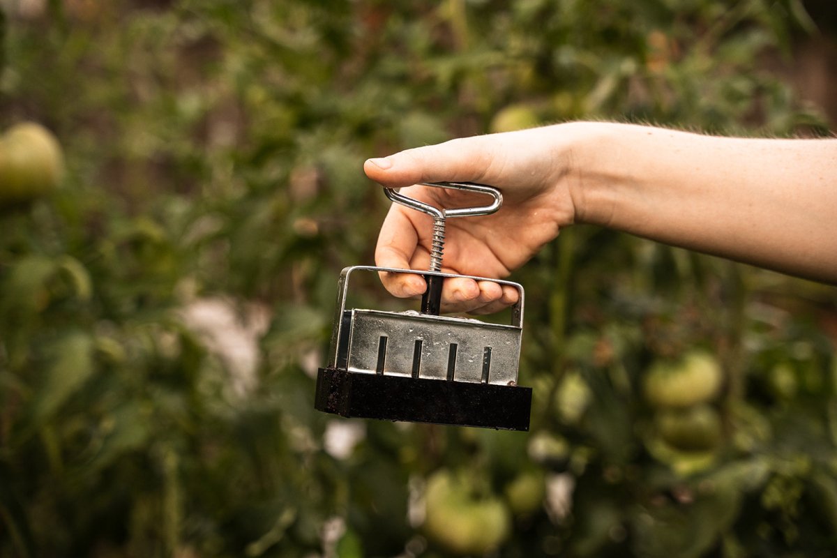 Hand holding mini soil blocker