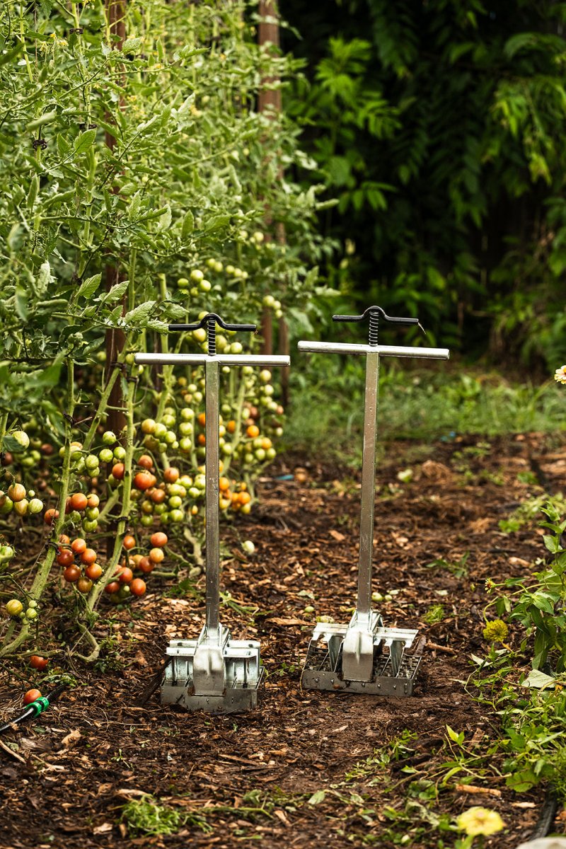 soil blockers in the garden