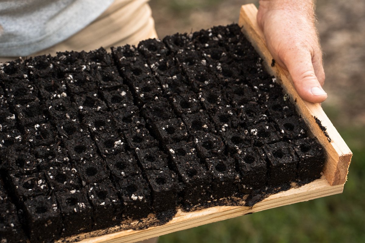 Soil blocks for seeds