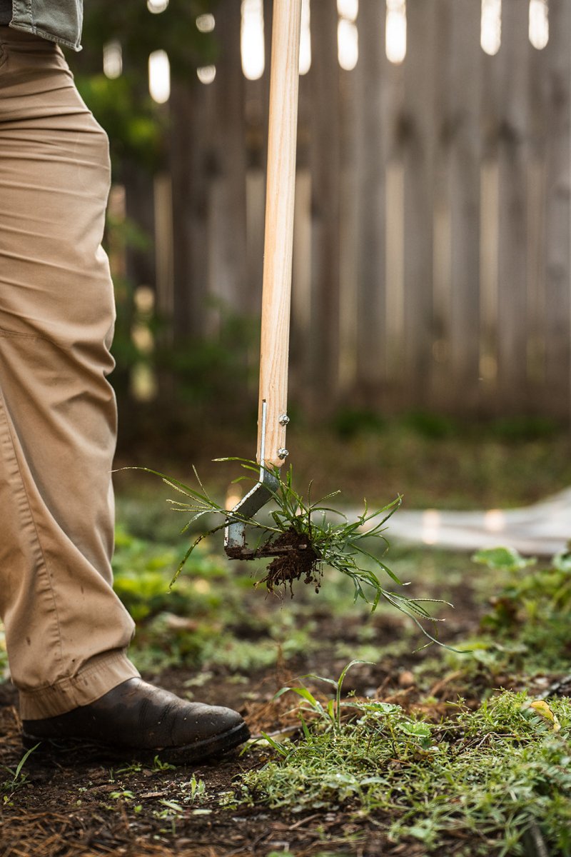 Weed in cultivator tool