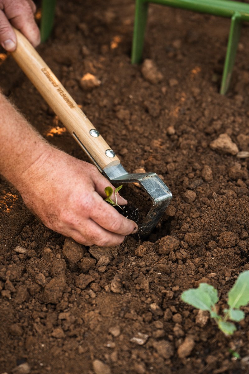 digging with a cultivator tool