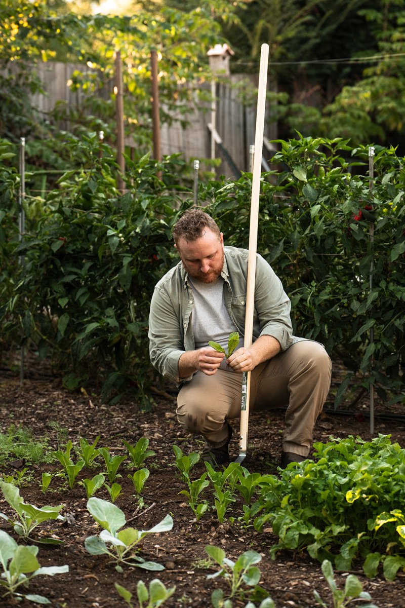 A multifunctional cultivating tool with a wooden handle and a bottom-mounted metal blade, standing upright in the ground.