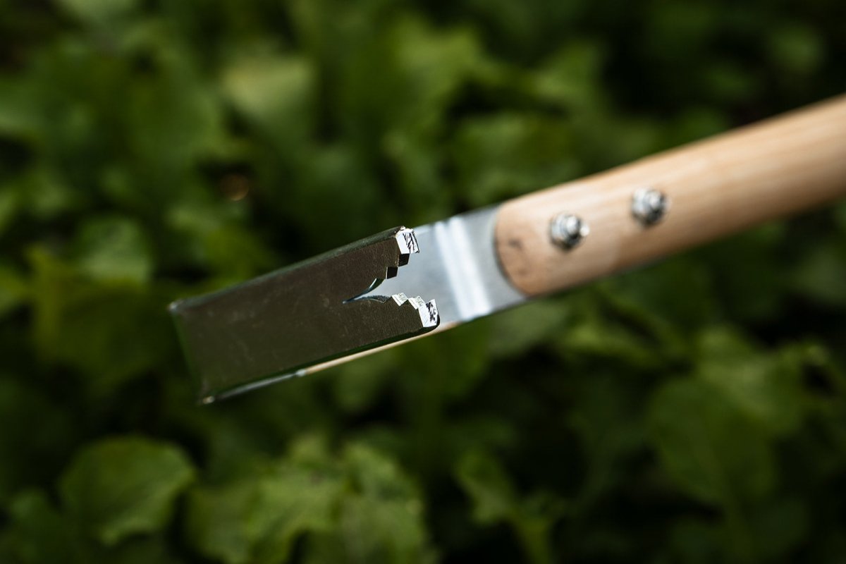 Close up of tines on cultivator tool