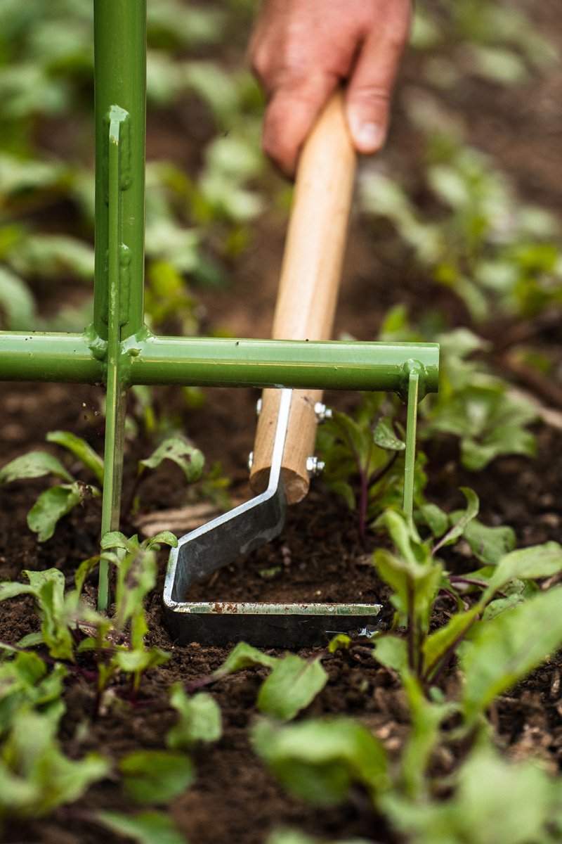 Hand cultivator