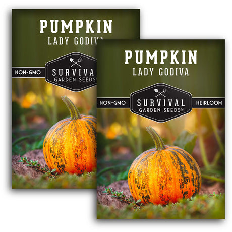 Lady Godiva Pumpkin Seeds – Heirloom Hulless Non-GMO Variety for Homegrown Pepitas, Snacking & Fall Décor