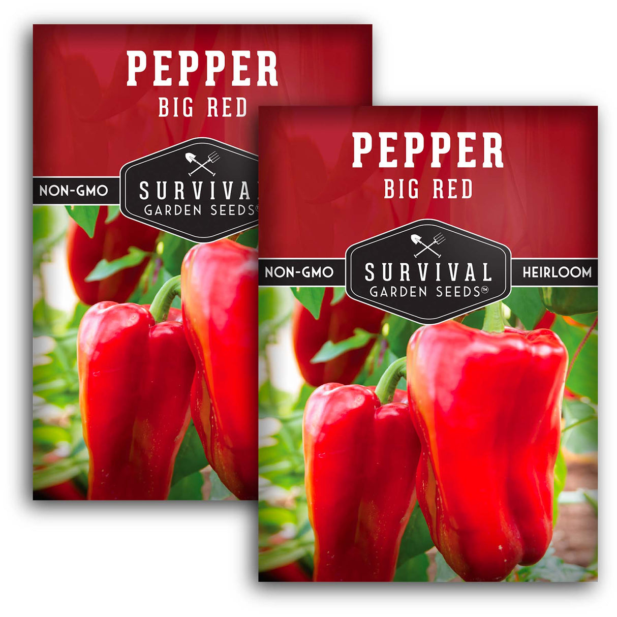 Big Red Bell Pepper Seeds – Heirloom Non-GMO Sweet Peppers for Stuffing, Roasting & Fresh Eating