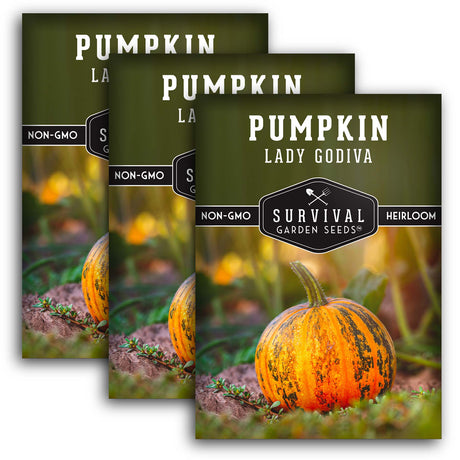 Lady Godiva Pumpkin Seeds – Heirloom Hulless Non-GMO Variety for Homegrown Pepitas, Snacking & Fall Décor