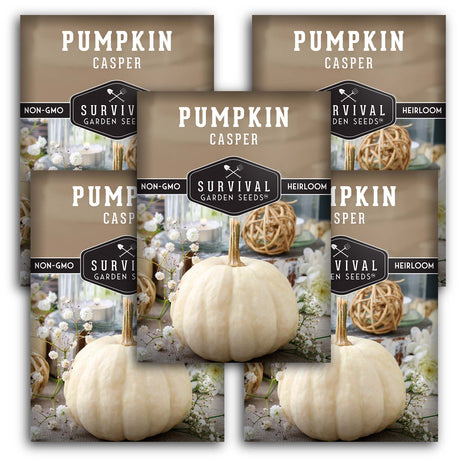 Casper Pumpkin Seeds – Heirloom Non-GMO White Pumpkins for Fall Décor, Carving & Baking