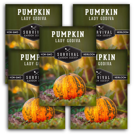 Lady Godiva Pumpkin Seeds – Heirloom Hulless Non-GMO Variety for Homegrown Pepitas, Snacking & Fall Décor