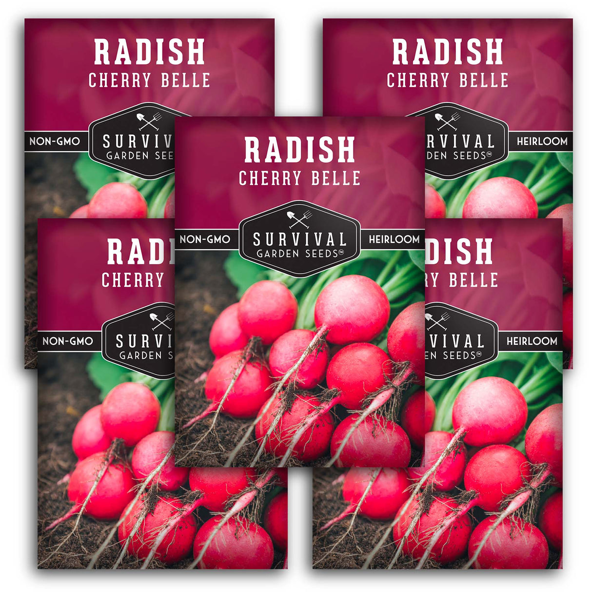 Cherry Belle Radish Seeds – Fast-Growing Heirloom AAS Winner for Crisp, Mild, Cool-Season Harvests
