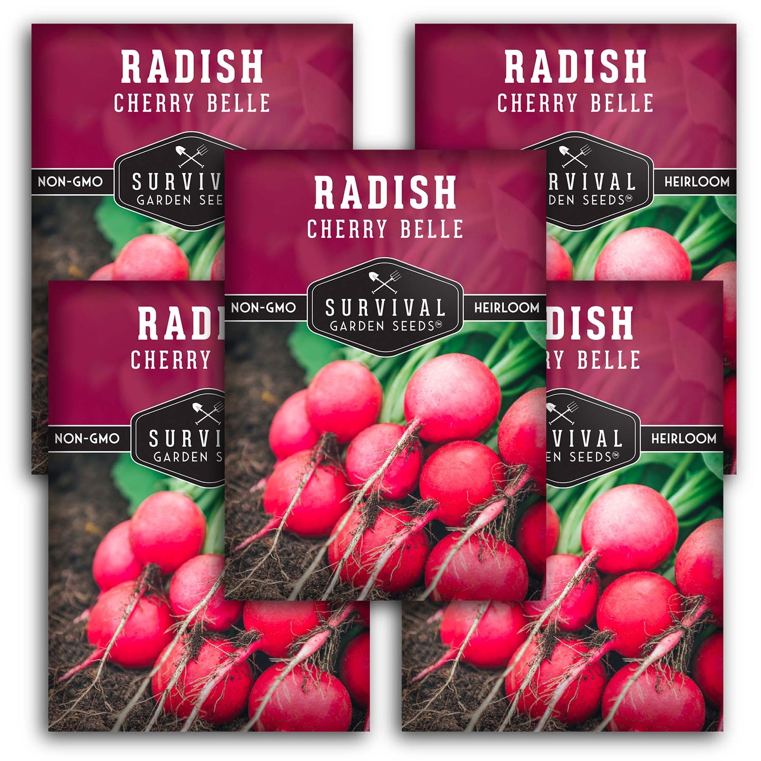 Cherry Belle Radish Seeds – Fast-Growing Heirloom AAS Winner for Crisp, Mild, Cool-Season Harvests